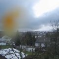 Webcam_20240323-103000