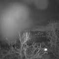 Webcam_20240323-210000