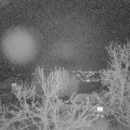 Webcam_20240329-200000