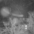 Webcam_20240330-201500