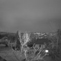 Webcam_20240331-193000