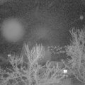 Webcam_20240331-203000