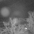 Webcam_20240331-204500