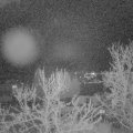 Webcam_20240401-201500