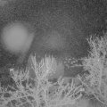 Webcam_20240402-214500