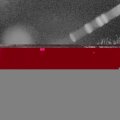 Webcam_20240403-201500
