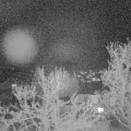 Webcam_20240406-204500
