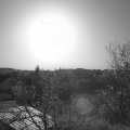 Webcam_20240408-080000