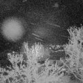 Webcam_20240408-210000