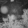 Webcam_20240408-213000