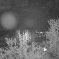 Webcam_20240409-203000