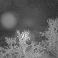 Webcam_20240409-210000