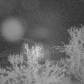 Webcam_20240409-220000