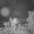Webcam_20240412-050000
