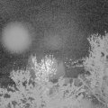 Webcam_20240413-050000