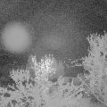 Webcam_20240413-051500