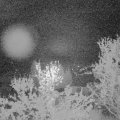 Webcam_20240414-050000