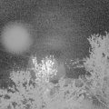 Webcam_20240415-050000