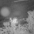 Webcam_20240415-053000