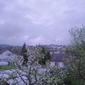 Webcam_20240415-063000