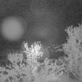 Webcam_20240416-050000