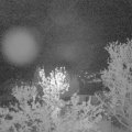 Webcam_20240416-051500