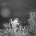 Webcam_20240416-053000