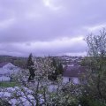 Webcam_20240416-063000