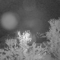Webcam_20240418-051500