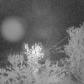 Webcam_20240419-051500