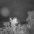 Webcam_20240420-053000