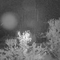 Webcam_20240421-051500