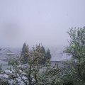 Webcam_20240421-081500