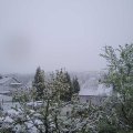 Webcam_20240421-090000