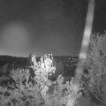 Webcam_20240423-050000