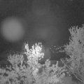 Webcam_20240424-050000