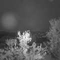 Webcam_20240424-053000