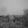 Webcam_20240424-060000