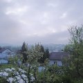 Webcam_20240424-073000