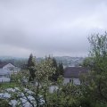 Webcam_20240424-083000