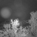 Webcam_20240425-050000