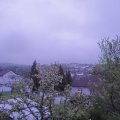 Webcam_20240425-060000