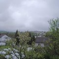 Webcam_20240425-100000