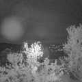 Webcam_20240429-050000