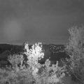 Webcam_20240429-051500