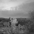 Webcam_20240429-053000