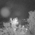 Webcam_20240429-220000