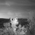 Webcam_20240501-050000