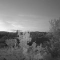 Webcam_20240501-051500