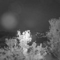 Webcam_20240501-214500